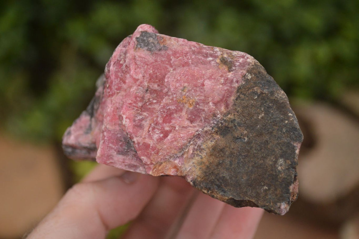 Natural Rough Pink Rhodonite Specimens  x 5 From Zimbabwe - Toprock Gemstones and Minerals 