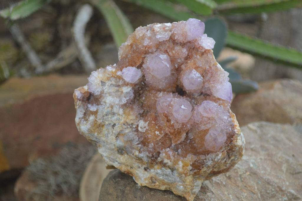 Natural Stunning Spirit Ametrine Quartz Cluster  x 1 From Boekenhouthoek, South Africa - Toprock Gemstones and Minerals 