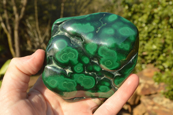 Polished Malachite Free Forms With Stunning Flower & Banding Patterns x 3 From Congo - TopRock