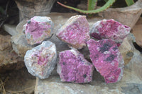 Natural Pink Salrose Cobaltion Dolomite Specimens  x 6 From Kakanda, Congo - Toprock Gemstones and Minerals 
