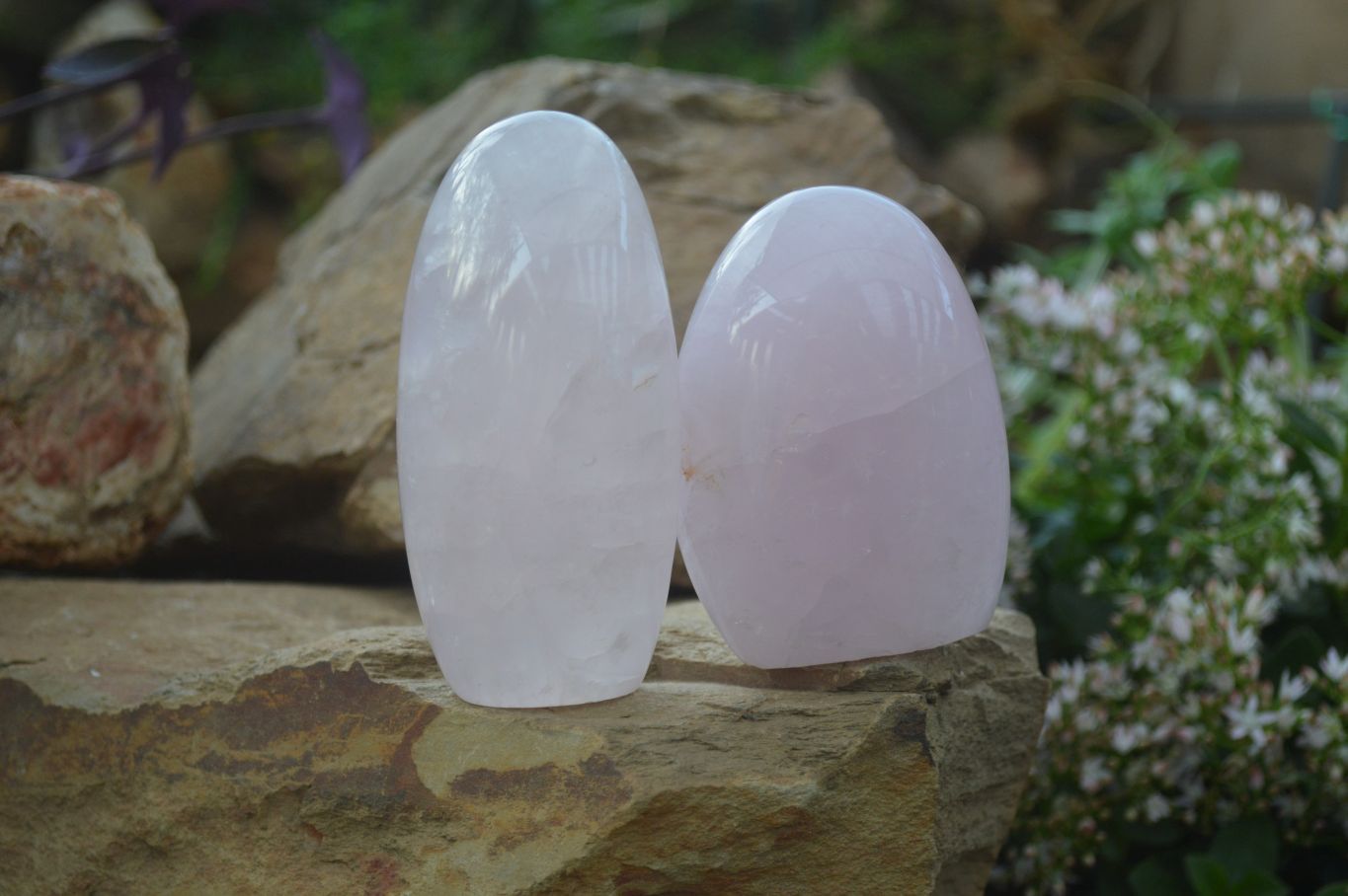 Polished Gemmy Rose Quartz Standing Free Forms x 4 From Ambatondrazaka, Madagascar - Toprock Gemstones and Minerals 