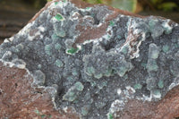 Natural Drusy Coated Ball Malachite On Dolomite Specimen  x 1 From Likasi, Congo - Toprock Gemstones and Minerals 