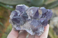 Natural Dark Amethyst Clusters x 3 From Mapatizya, Zambia - Toprock Gemstones and Minerals 