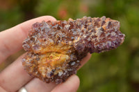 Natural Small Dark "Amethystos" Amethyst Clusters x 35 From Kwaggafontein, South Africa - TopRock