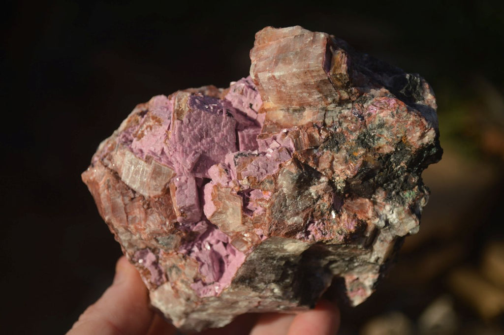 Natural Pink Salrose Cobaltion Dolomite Specimens  x 3 From Kakanda, Congo - Toprock Gemstones and Minerals 