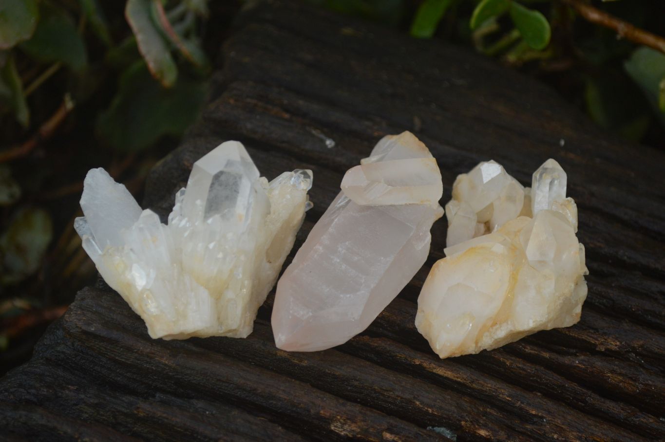Natural Mixed Quartz Clusters  x 35 From Madagascar - Toprock Gemstones and Minerals 