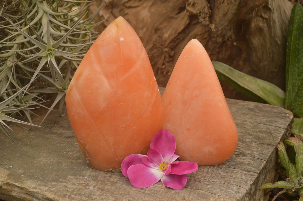 Polished Orange Twist Calcite Standing Leaf Sculptures  x 2 From Madagascar - TopRock