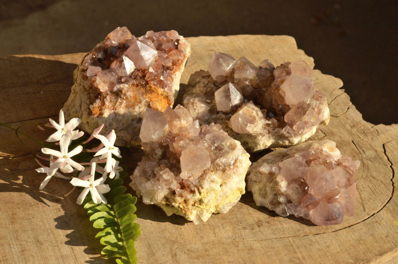 Natural Amethyst Phantom Spirit Quartz Clusters  x 4 From Boekenhouthoek, South Africa - TopRock