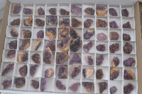 Natural Small Dark "Amethystos" Amethyst Clusters x 70 From Kwaggafontein, South Africa - TopRock