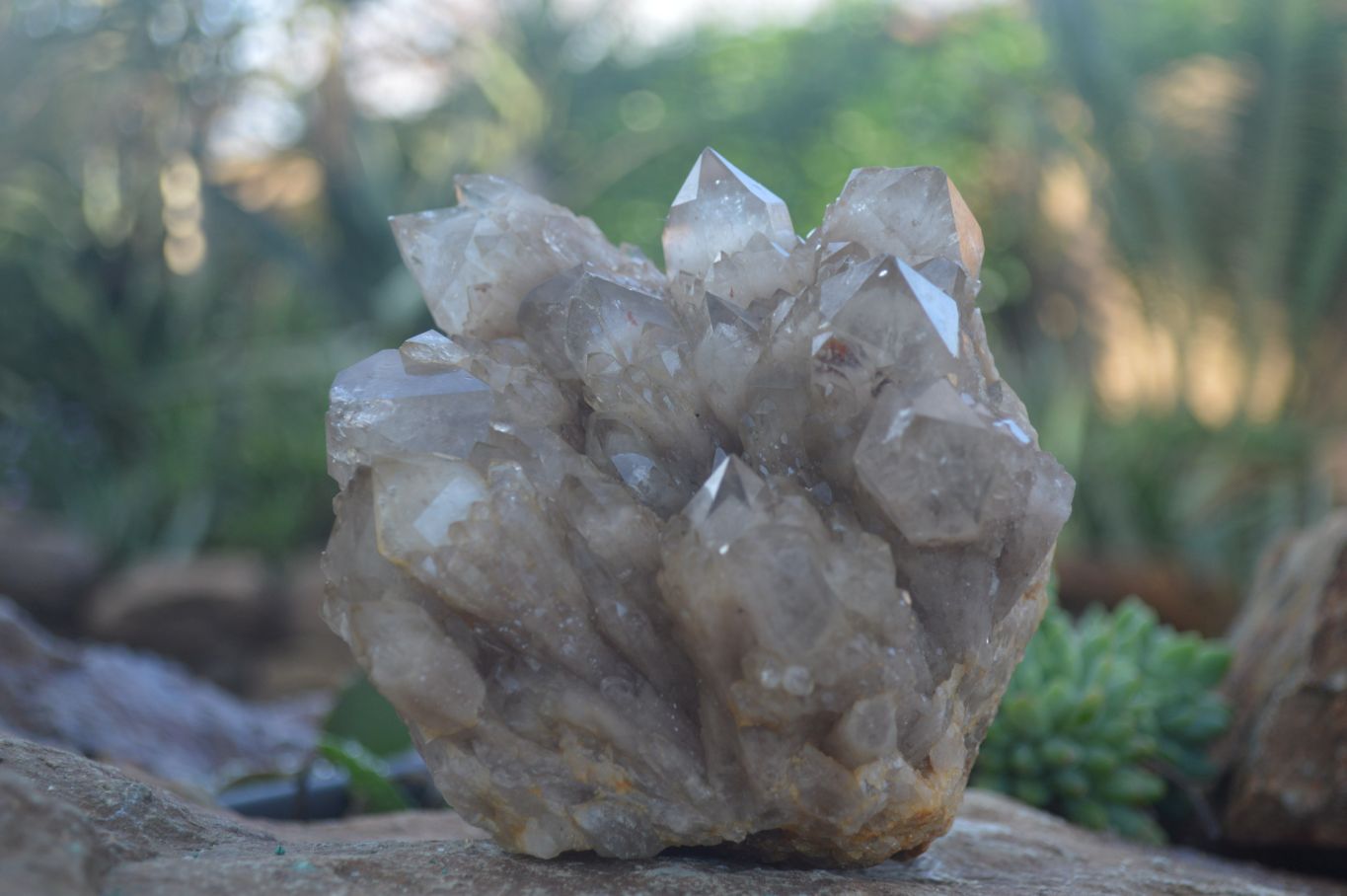 Natural Cascading White Phantom Smokey Quartz Clusters  x 2 From Luena, Congo - Toprock Gemstones and Minerals 
