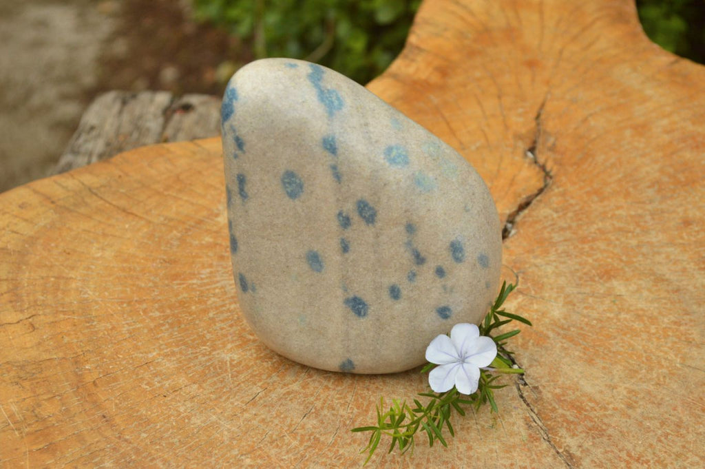 Polished Blue Spotted Spinel Dalmatian Stone Standing Free Form x 1 From Madagascar - TopRock