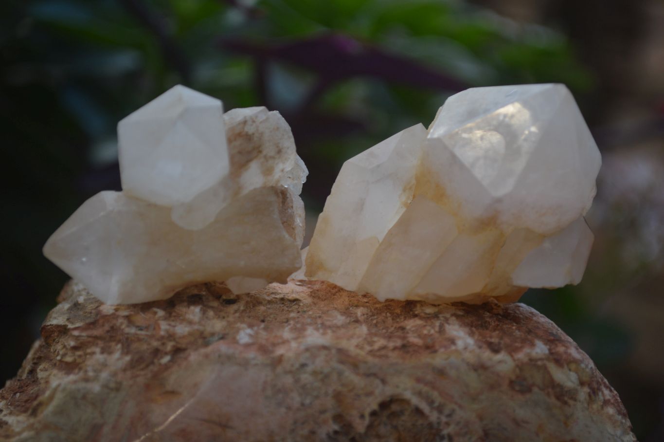 Natural Mixed Quartz Clusters  x 35 From Madagascar - Toprock Gemstones and Minerals 