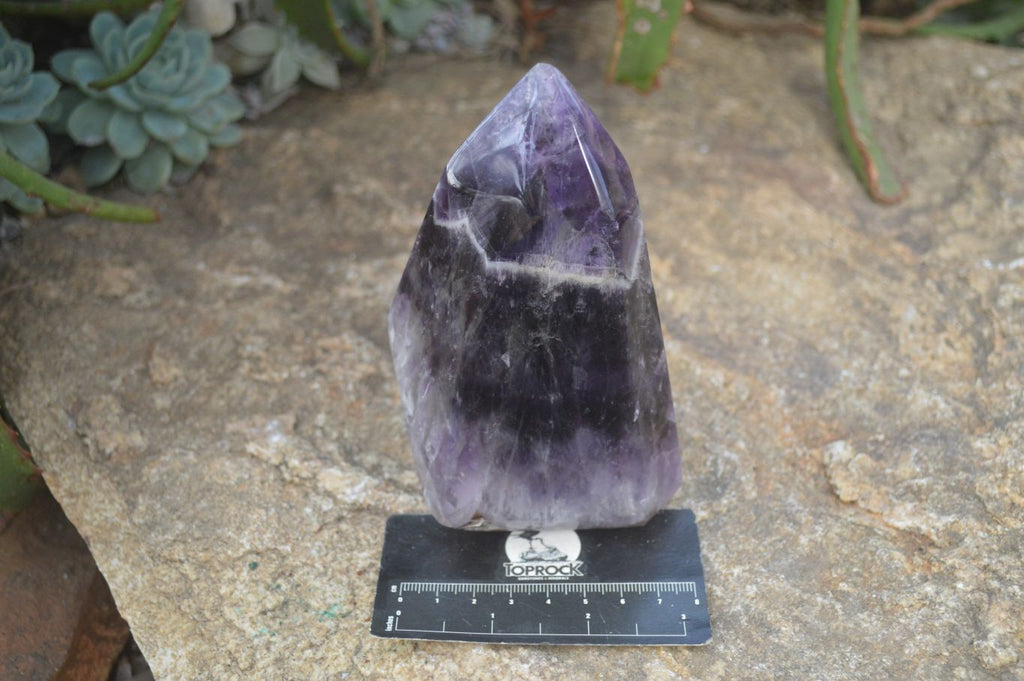 Polished Dream Amethyst Point x 1 From Madagascar - Toprock Gemstones and Minerals 
