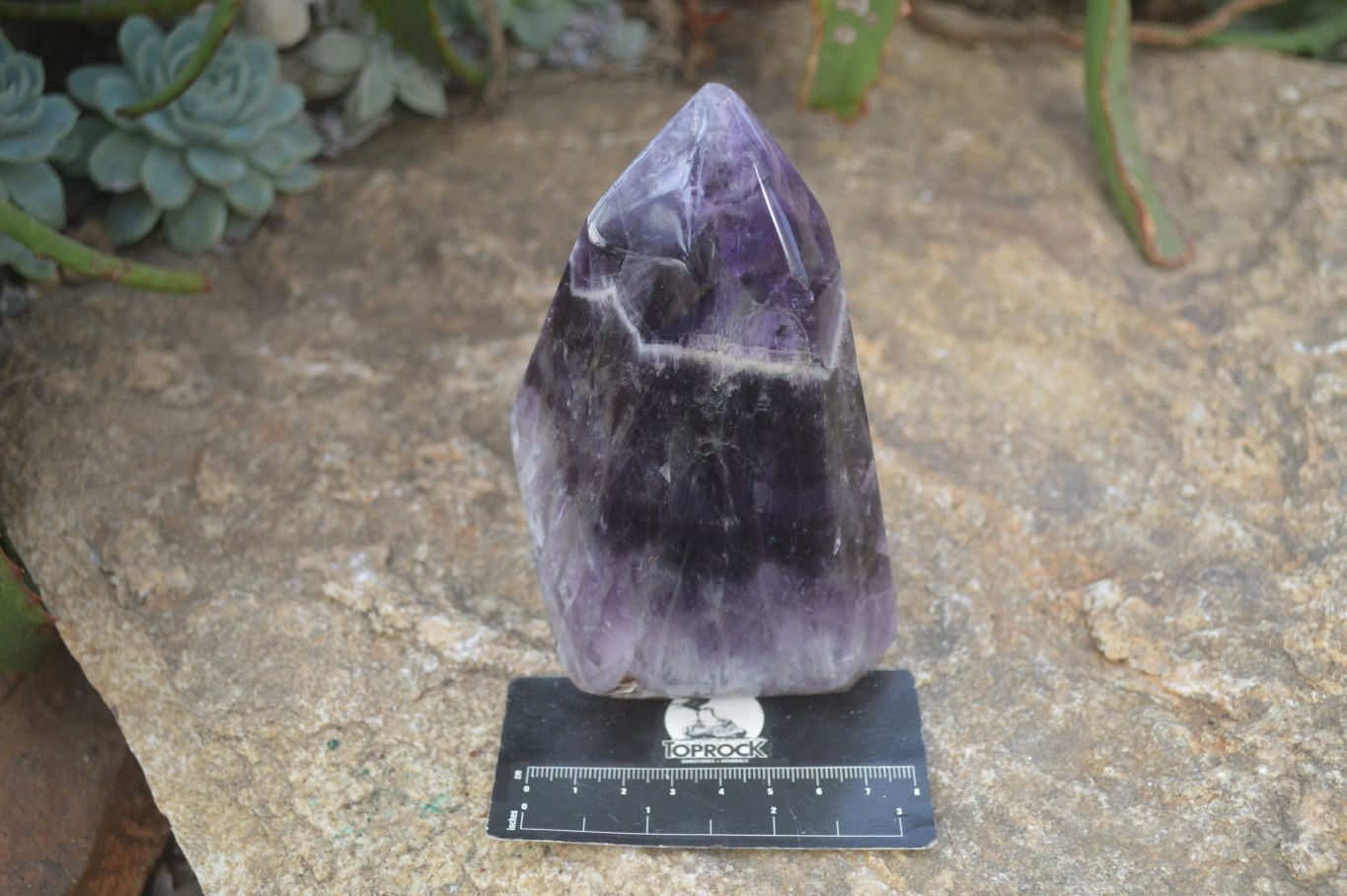 Polished Dream Amethyst Point x 1 From Madagascar - Toprock Gemstones and Minerals 