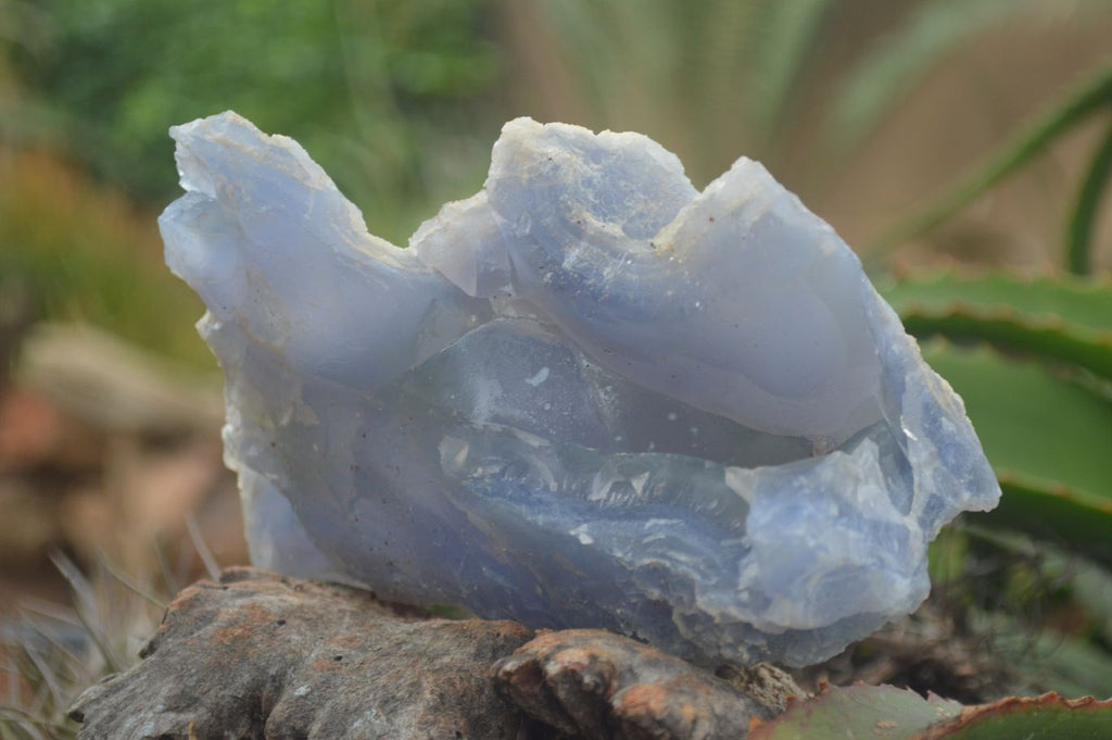 Natural Etched Blue Chalcedony Specimens  x 2 From Nsanje, Malawi - Toprock Gemstones and Minerals 