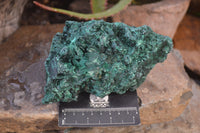Natural Chatoyant Silky Malachite Specimen x 1 From Kasompe, Congo - Toprock Gemstones and Minerals 