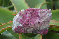 Natural Pink Salrose Cobaltion Dolomite Specimens  x 6 From Kakanda, Congo - Toprock Gemstones and Minerals 