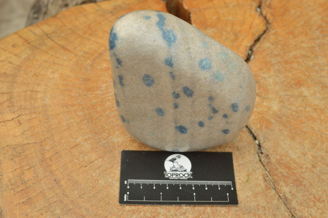 Polished Blue Spotted Spinel Dalmatian Stone Standing Free Form x 1 From Madagascar - TopRock