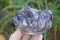 Natural Dark Amethyst Clusters x 3 From Mapatizya, Zambia - Toprock Gemstones and Minerals 
