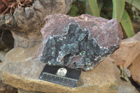 Natural Drusy Coated Ball Malachite On Dolomite Specimen  x 1 From Likasi, Congo - Toprock Gemstones and Minerals 