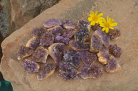 Natural Small Dark "Amethystos" Amethyst Clusters x 70 From Kwaggafontein, South Africa - TopRock