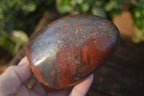 Polished Red Jasper Standing Free Forms  x 3 From Madagascar - Toprock Gemstones and Minerals 