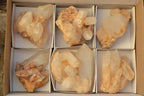 Natural Golden Iron Candle Quartz Clusters x 6 From Madagascar - TopRock