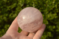 Polished Lovely Pink Rose Quartz Spheres x 4 From Ambatondrazaka, Madagascar - TopRock