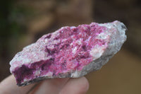 Natural Pink Salrose Cobaltion Dolomite Specimens  x 6 From Kakanda, Congo - Toprock Gemstones and Minerals 