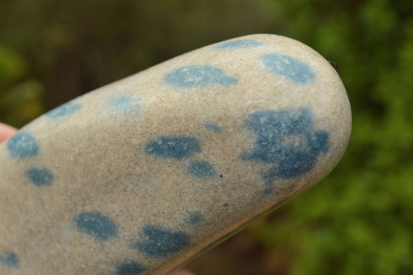 Polished Blue Spotted Spinel Dalmatian Stone Standing Free Form x 1 From Madagascar - TopRock