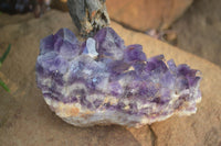 Natural Dark Amethyst Clusters x 3 From Mapatizya, Zambia - Toprock Gemstones and Minerals 