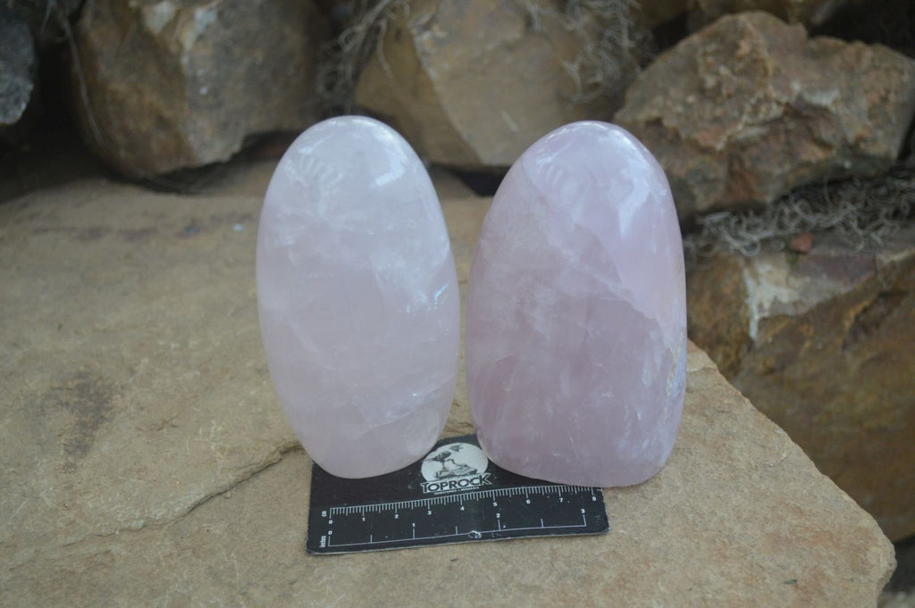 Polished Gemmy Rose Quartz Standing Free Forms x 4 From Ambatondrazaka, Madagascar - Toprock Gemstones and Minerals 