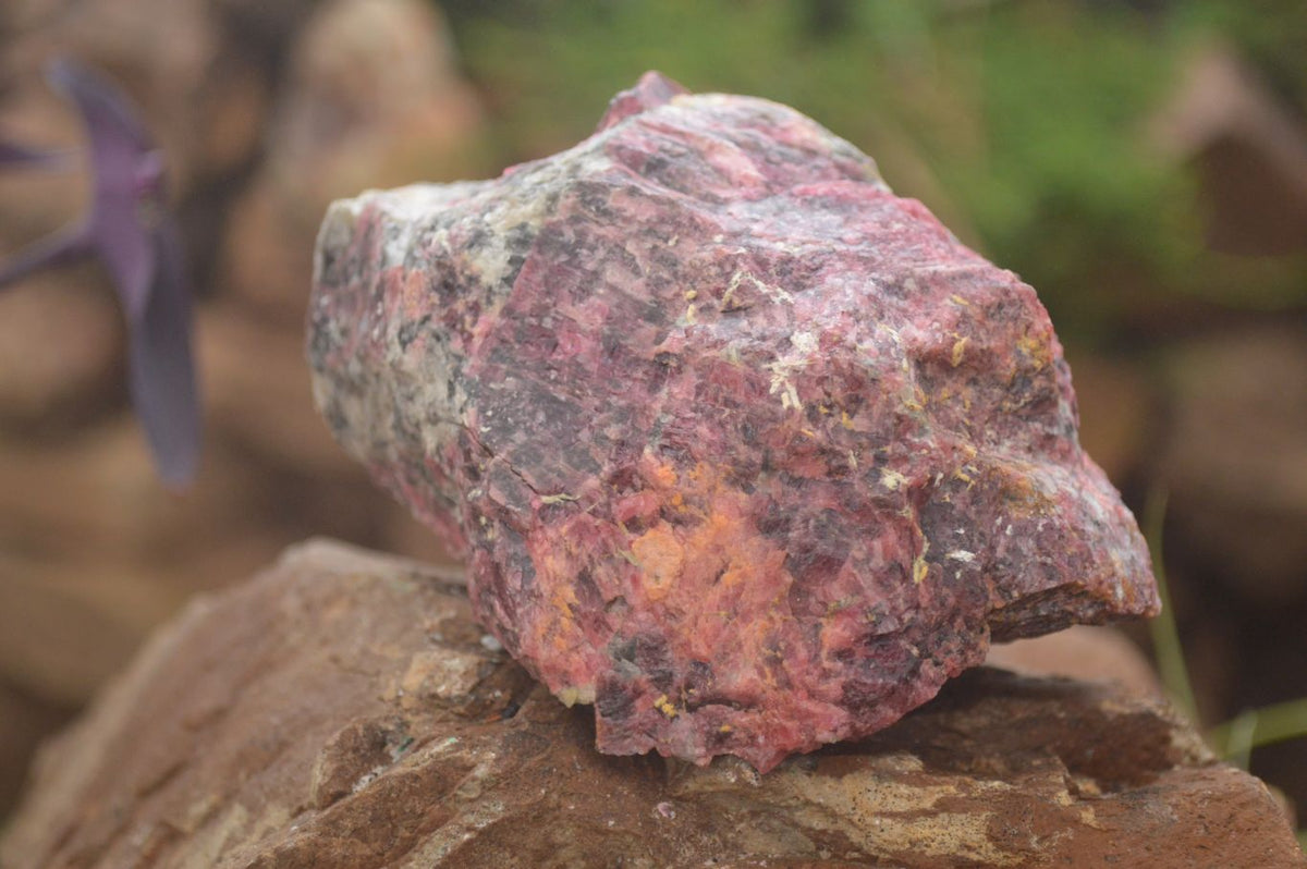 Natural Rough Pink Rhodonite Specimens  x 5 From Zimbabwe - Toprock Gemstones and Minerals 