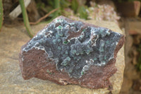 Natural Drusy Coated Ball Malachite On Dolomite Specimen  x 1 From Likasi, Congo - Toprock Gemstones and Minerals 