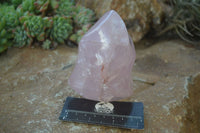 Polished Gemmy Rose Quartz Flames x 3 From Madagascar - Toprock Gemstones and Minerals 