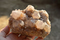 Natural Amethyst Phantom Spirit Quartz Clusters  x 4 From Boekenhouthoek, South Africa - TopRock