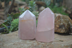 Polished Gemmy Rose Quartz Points x 4 From Madagascar - Toprock Gemstones and Minerals 