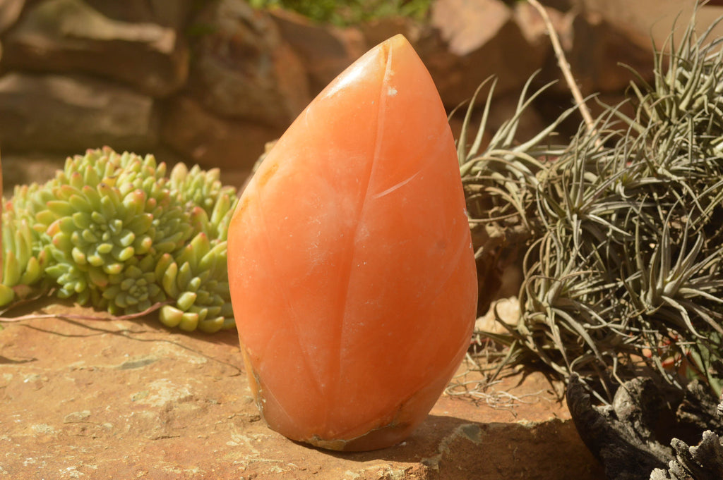 Polished Orange Twist Calcite Standing Leaf Sculptures  x 2 From Madagascar - TopRock