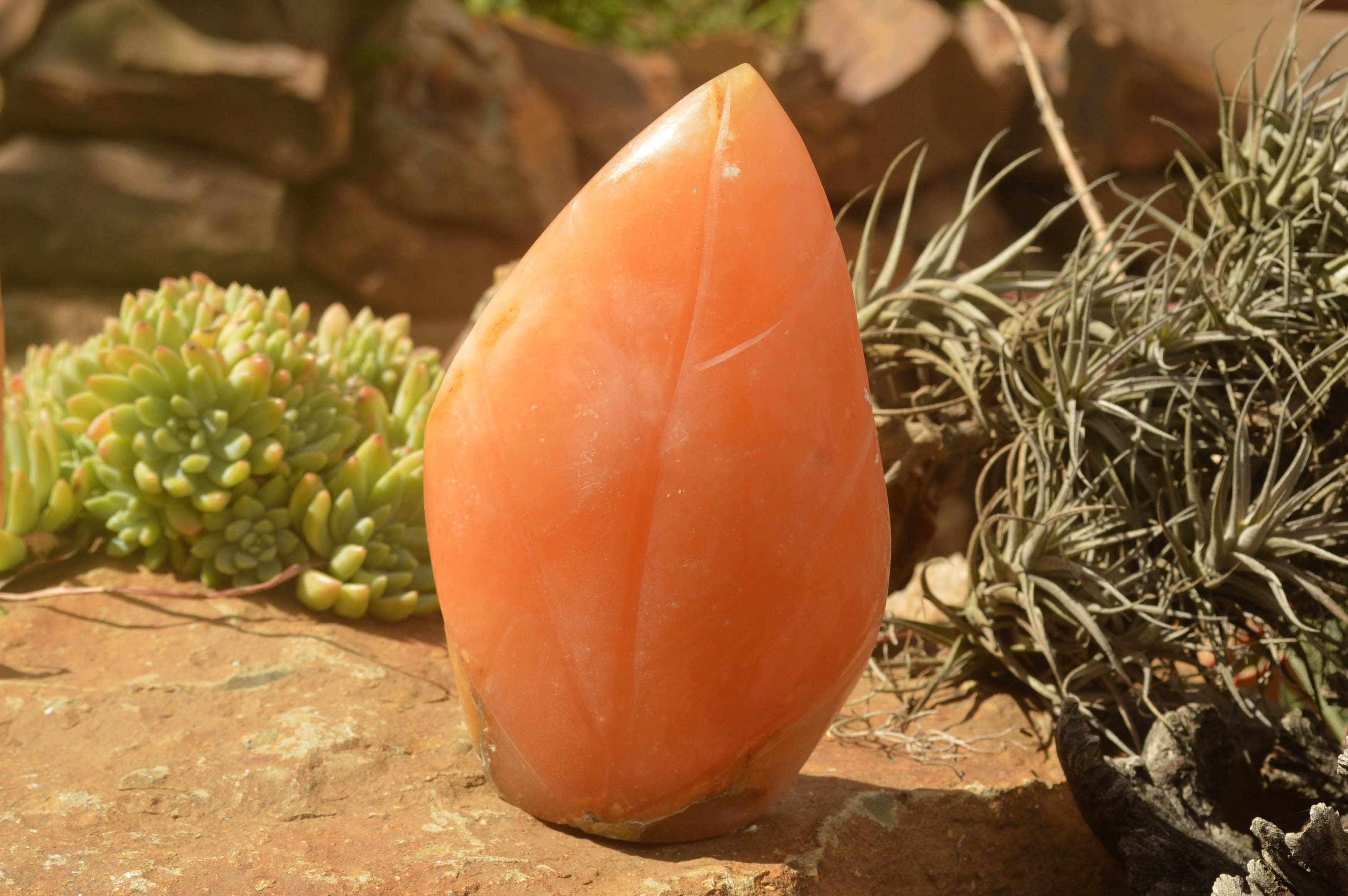Polished Orange Twist Calcite Standing Leaf Sculptures  x 2 From Madagascar - TopRock
