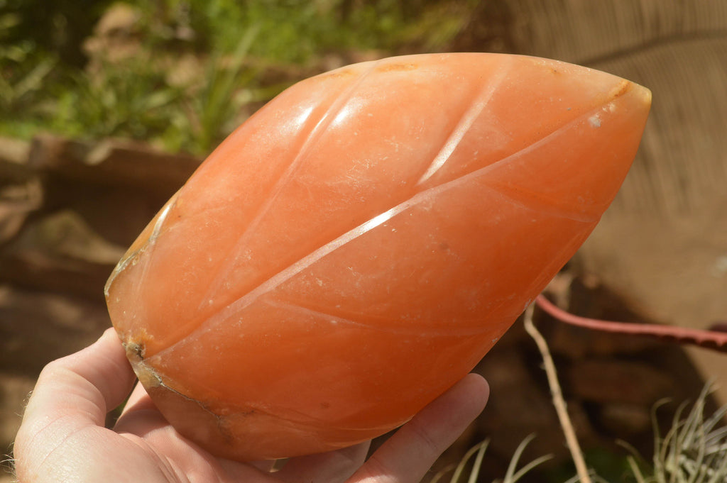 Polished Orange Twist Calcite Standing Leaf Sculptures  x 2 From Madagascar - TopRock