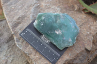 Polished On One Side Emerald Mtorolite Plates x 12 From Mutorashanga, Zimbabwe - Toprock Gemstones and Minerals 