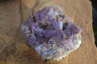 Natural Dark Amethyst Clusters x 3 From Mapatizya, Zambia - Toprock Gemstones and Minerals 