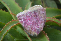 Natural Pink Salrose Cobaltion Dolomite Specimens  x 6 From Kakanda, Congo - Toprock Gemstones and Minerals 