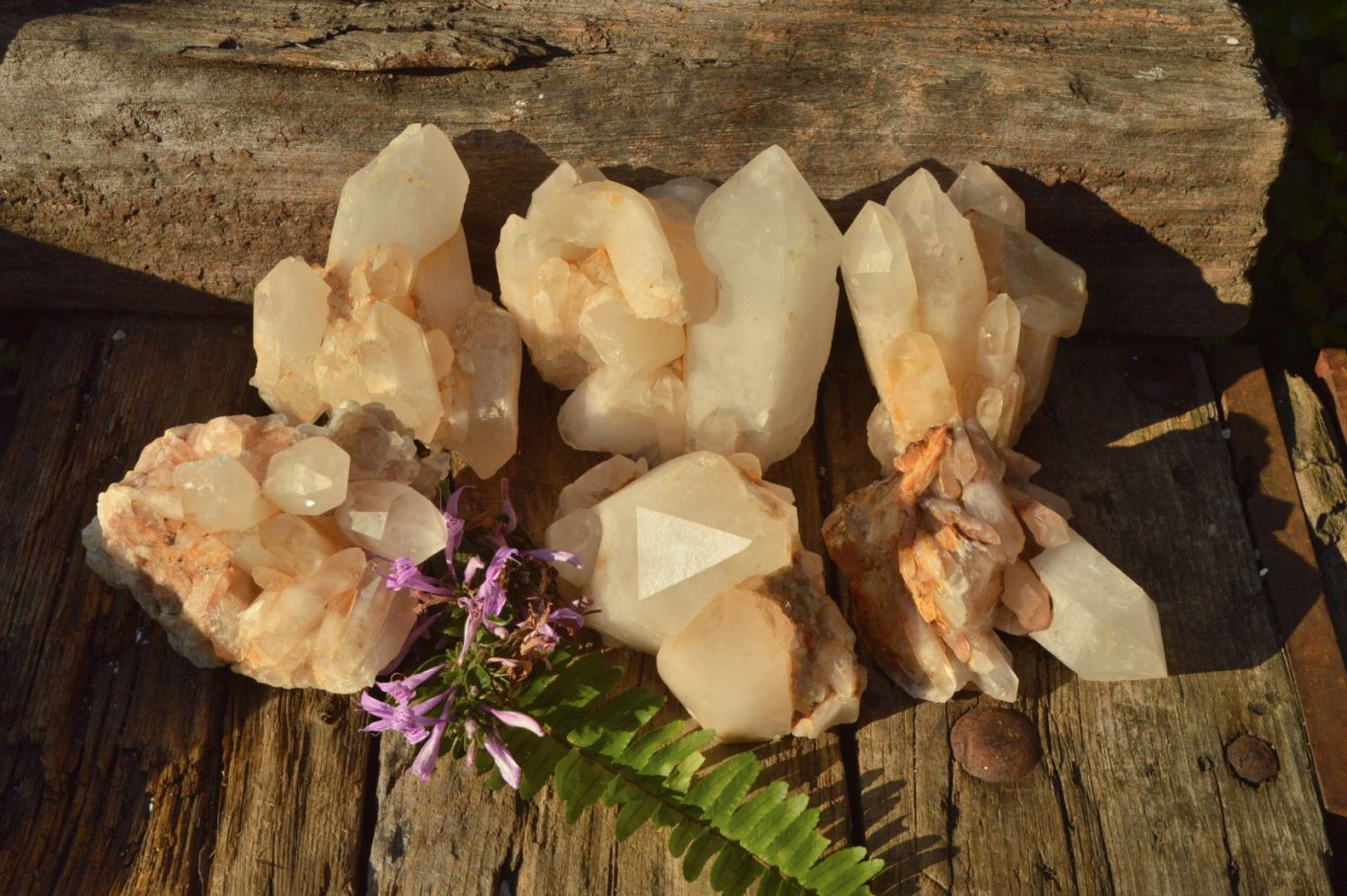 Natural Golden Iron Candle Quartz Clusters x 6 From Madagascar - TopRock