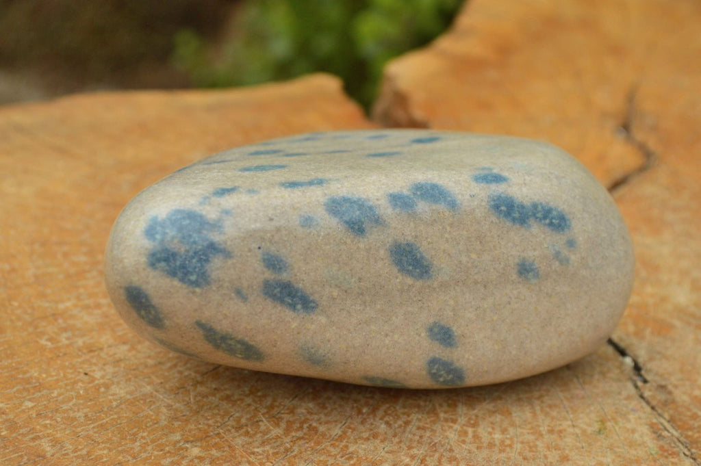 Polished Blue Spotted Spinel Dalmatian Stone Standing Free Form x 1 From Madagascar - TopRock