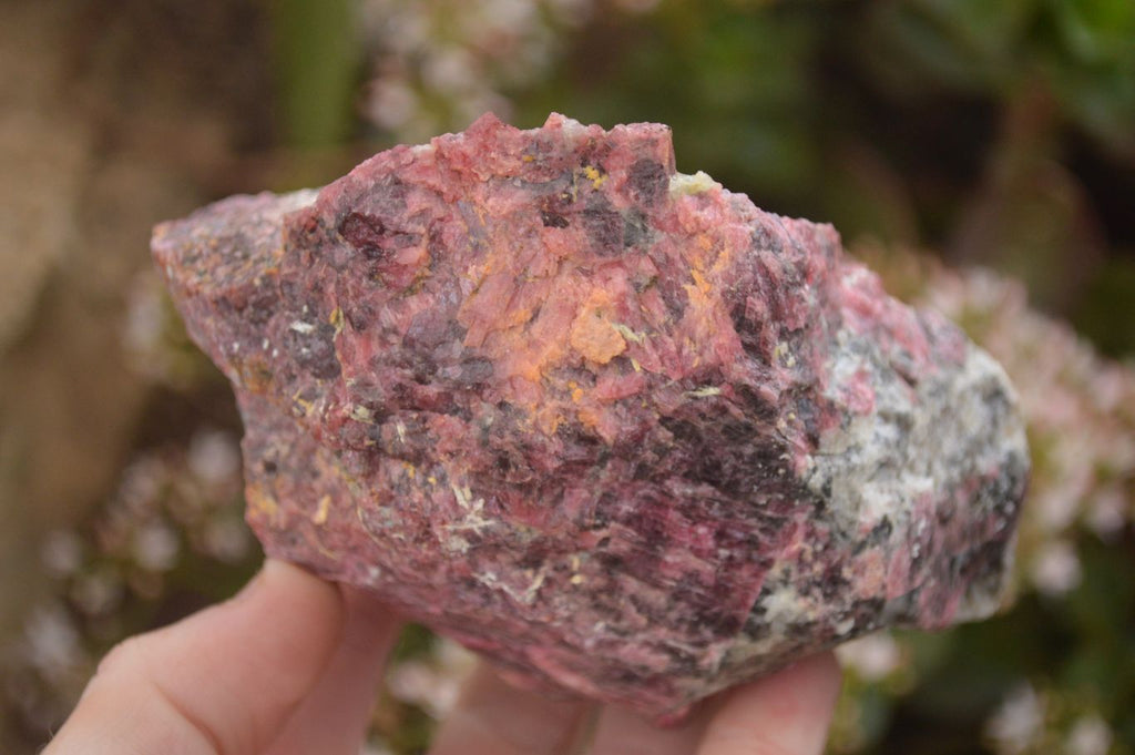 Natural Rough Pink Rhodonite Specimens  x 5 From Zimbabwe - Toprock Gemstones and Minerals 
