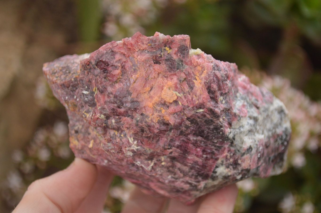 Natural Rough Pink Rhodonite Specimens  x 5 From Zimbabwe - Toprock Gemstones and Minerals 