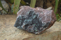 Natural Drusy Coated Ball Malachite On Dolomite Specimen  x 1 From Likasi, Congo - Toprock Gemstones and Minerals 