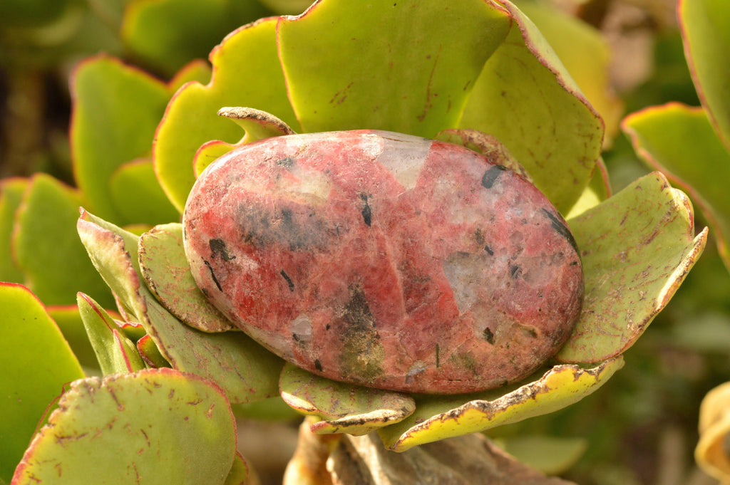 Polished Red Rhodonite Free Forms  x 4 From Zimbabwe - TopRock