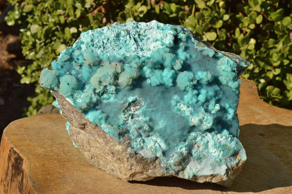Natural Huge Drusy Chrysocolla Dolomite Specimen With Unique Crystallisation x 1 From Lupoto Mine, Congo - TopRock